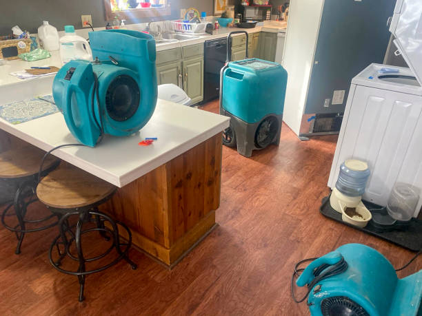 Best Water damage restoration near me  in Dripping Springs, TX