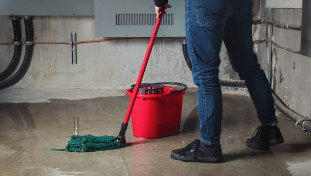 Best Local water damage restoration  in Dripping Springs, TX