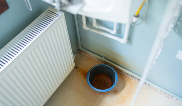 Best Professional water damage repair  in Dripping Springs, TX